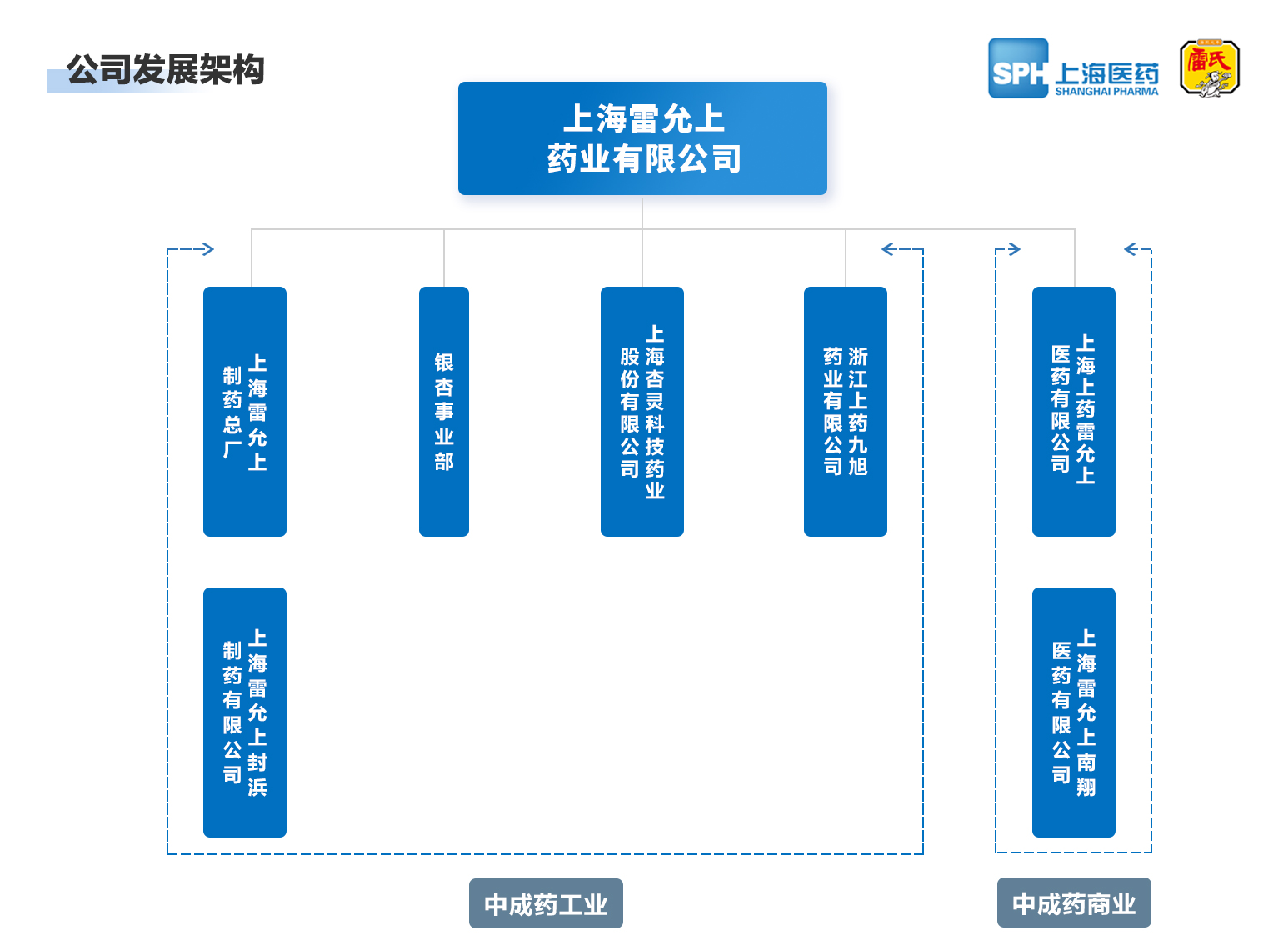 上海杏彩公司药业有限公司